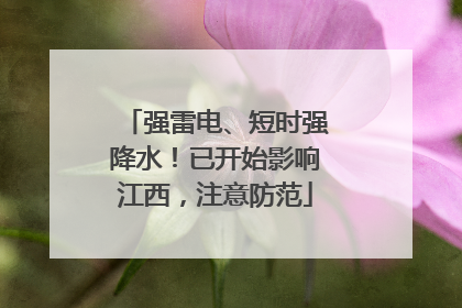 强雷电、短时强降水！已开始影响江西，注意防范