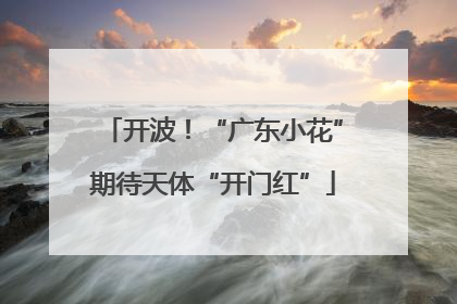 开波！“广东小花”期待天体“开门红”