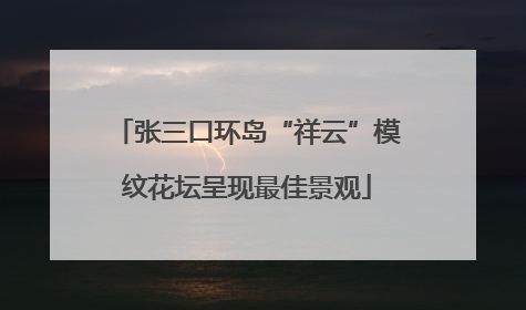 张三口环岛“祥云”模纹花坛呈现最佳景观
