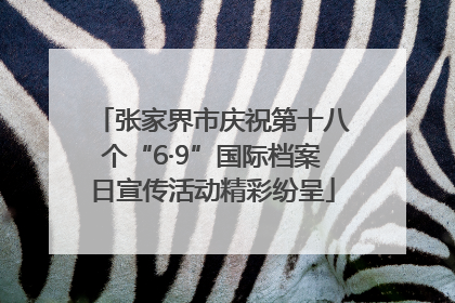 张家界市庆祝第十八个“6·9”国际档案日宣传活动精彩纷呈