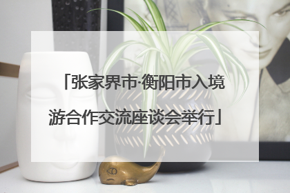 张家界市·衡阳市入境游合作交流座谈会举行