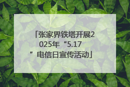 张家界铁塔开展2025年“5.17”电信日宣传活动