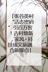 张谷英村“活态密码”引百万客！古村焕新，家风+科技成文旅融合新爆点
