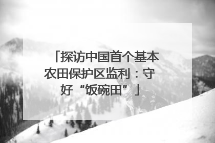 探访中国首个基本农田保护区监利：守好“饭碗田”