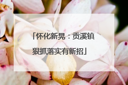 怀化新晃：贡溪镇狠抓落实有新招
