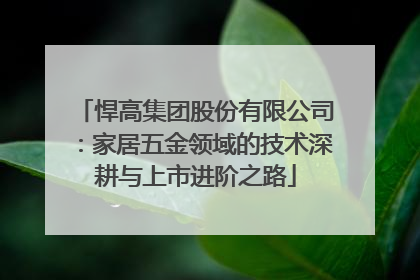 悍高集团股份有限公司：家居五金领域的技术深耕与上市进阶之路