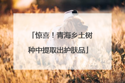 惊喜！青海乡土树种中提取出护肤品