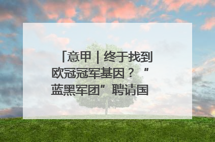 意甲｜终于找到欧冠冠军基因？“蓝黑军团”聘请国米名宿齐沃执教