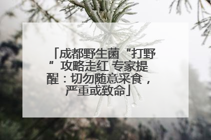 成都野生菌“打野”攻略走红 专家提醒：切勿随意采食，严重或致命