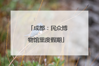 成都：民众博物馆里度假期