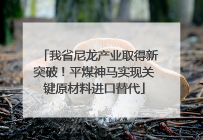 我省尼龙产业取得新突破！平煤神马实现关键原材料进口替代