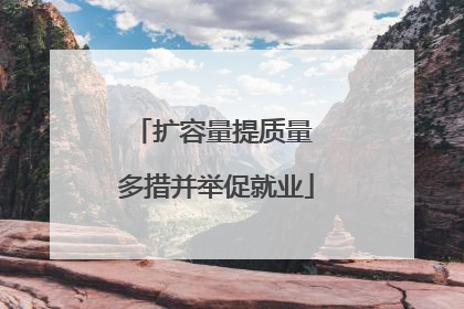 扩容量提质量 多措并举促就业