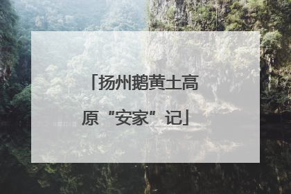 扬州鹅黄土高原“安家”记