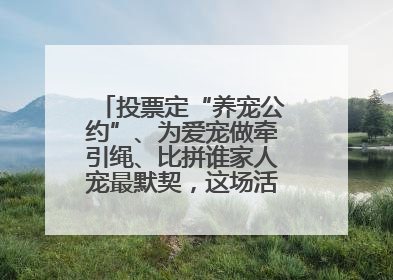 投票定“养宠公约”、为爱宠做牵引绳、比拼谁家人宠最默契，这场活动有趣更有意义