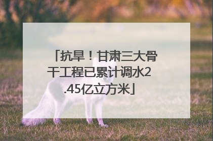 抗旱！甘肃三大骨干工程已累计调水2.45亿立方米