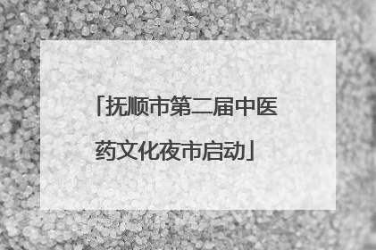 抚顺市第二届中医药文化夜市启动
