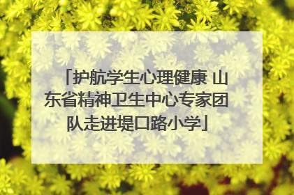 护航学生心理健康 山东省精神卫生中心专家团队走进堤口路小学