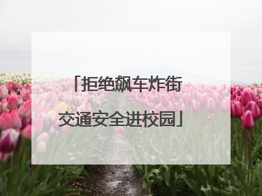 拒绝飙车炸街 交通安全进校园