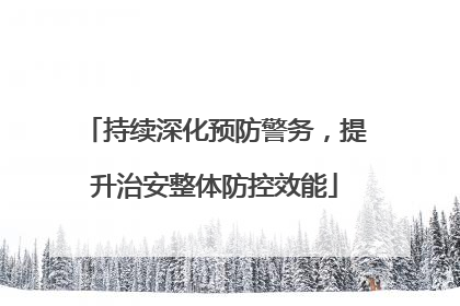 持续深化预防警务，提升治安整体防控效能