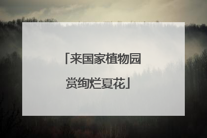 来国家植物园 赏绚烂夏花