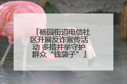 杨园街道电信社区开展反诈宣传活动 多措并举守护群众“钱袋子”