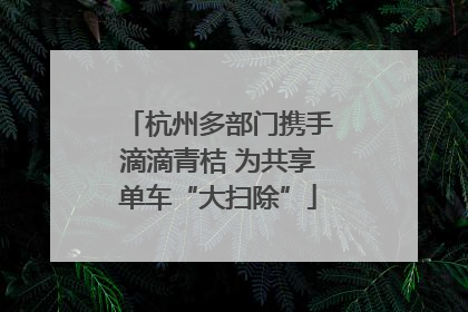 杭州多部门携手滴滴青桔 为共享单车“大扫除”