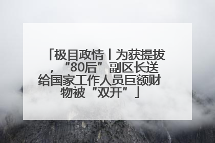 极目政情丨为获提拔，“80后”副区长送给国家工作人员巨额财物被“双开”