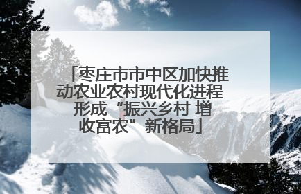 枣庄市市中区加快推动农业农村现代化进程 形成“振兴乡村 增收富农”新格局