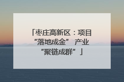枣庄高新区：项目“落地成金” 产业“聚链成群”
