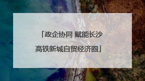 政企协同 赋能长沙高铁新城自贸经济圈