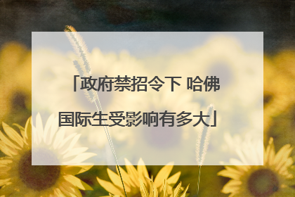 政府禁招令下 哈佛国际生受影响有多大