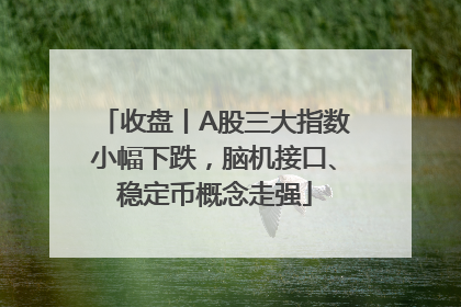 收盘丨A股三大指数小幅下跌，脑机接口、稳定币概念走强
