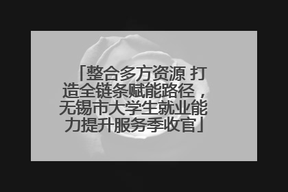 整合多方资源 打造全链条赋能路径，无锡市大学生就业能力提升服务季收官