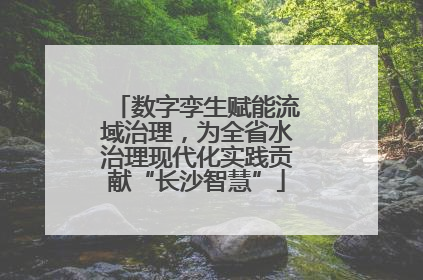 数字孪生赋能流域治理，为全省水治理现代化实践贡献“长沙智慧”