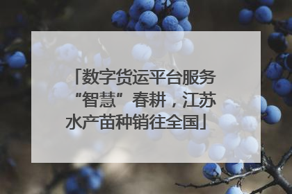 数字货运平台服务“智慧”春耕，江苏水产苗种销往全国