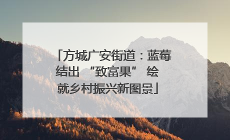 方城广安街道：蓝莓结出 “致富果” 绘就乡村振兴新图景