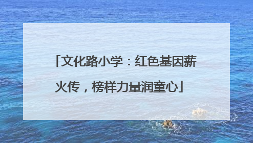 文化路小学：红色基因薪火传，榜样力量润童心