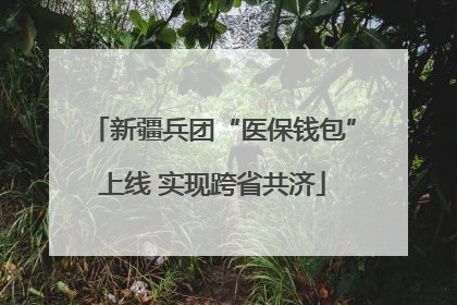 新疆兵团“医保钱包”上线 实现跨省共济