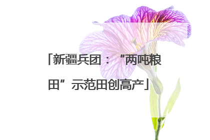 新疆兵团：“两吨粮田”示范田创高产