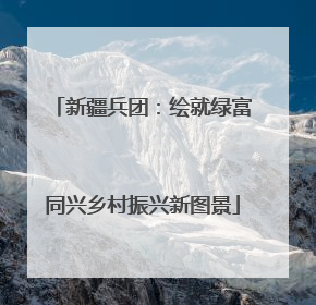 新疆兵团：绘就绿富同兴乡村振兴新图景