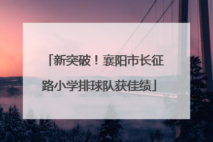 新突破！襄阳市长征路小学排球队获佳绩