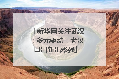 新华网关注武汉：多元驱动，老汉口出新出彩强