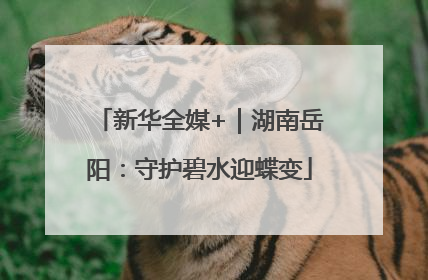 新华全媒+｜湖南岳阳：守护碧水迎蝶变
