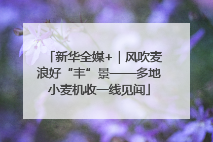 新华全媒+｜风吹麦浪好“丰”景——多地小麦机收一线见闻