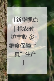 新华视点｜抢农时 护丰收 多维度保障“三夏”生产