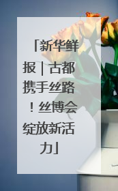新华鲜报｜古都携手丝路！丝博会绽放新活力