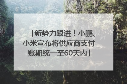 新势力跟进！小鹏、小米宣布将供应商支付账期统一至60天内