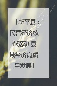 新平县：民营经济核心驱动 县域经济高质量发展