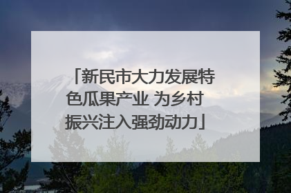 新民市大力发展特色瓜果产业 为乡村振兴注入强劲动力