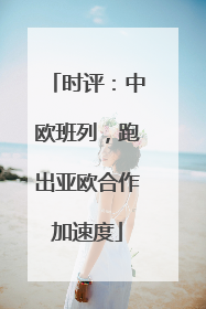 时评：中欧班列，跑出亚欧合作加速度